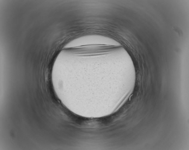 X0000114220219200911061514