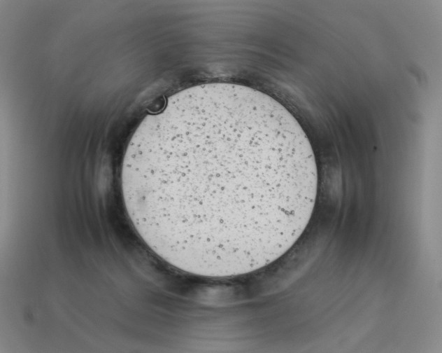 X0000114220220200911061514