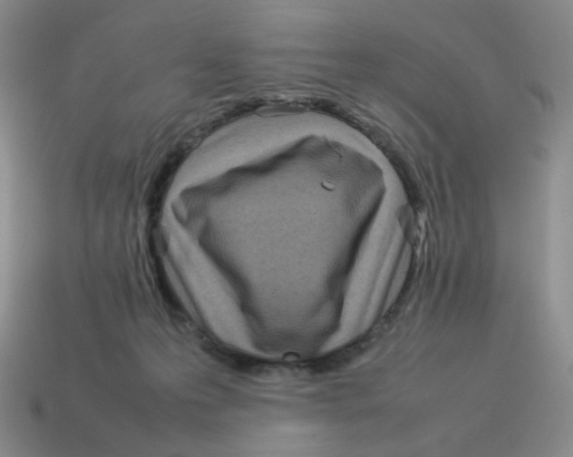 X0000114220223200911061514