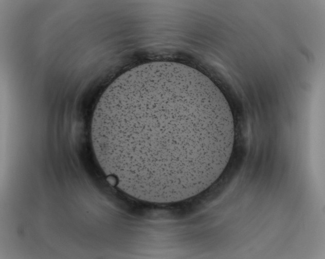 X0000114220224200911061514