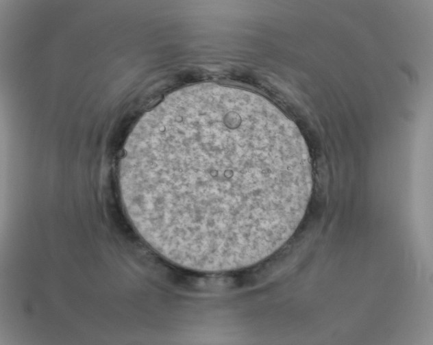 X0000114220225200911061514