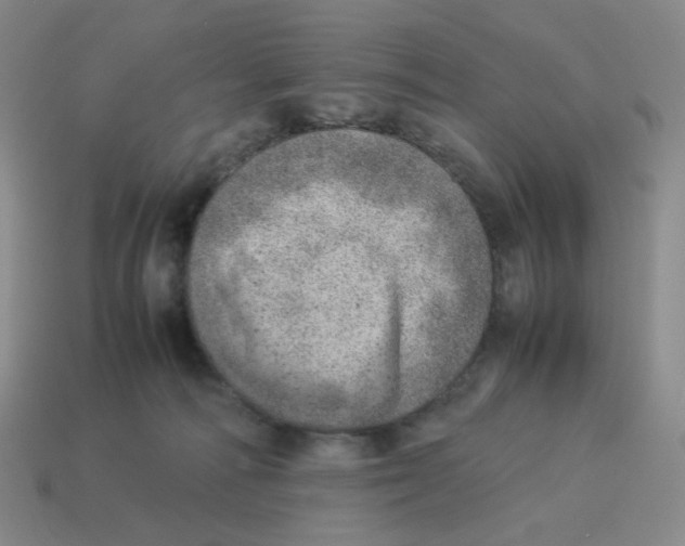 X0000114220226200911061514