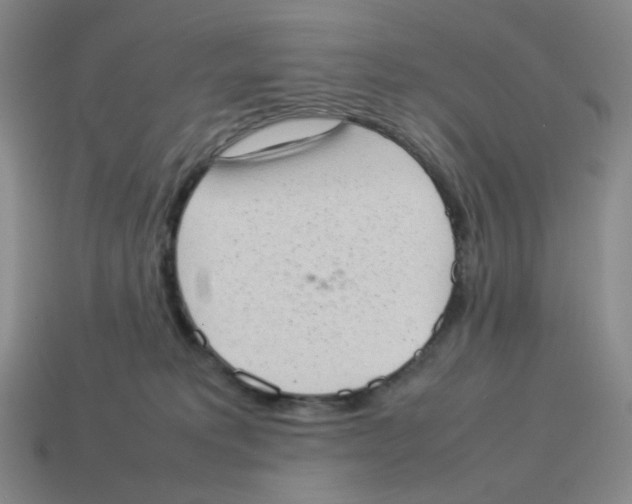 X0000114220229200911061514