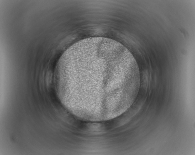 X0000114220230200911061514