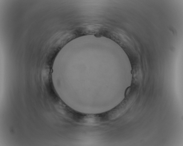 X0000114220231200911061514