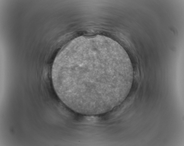 X0000114220233200911061513