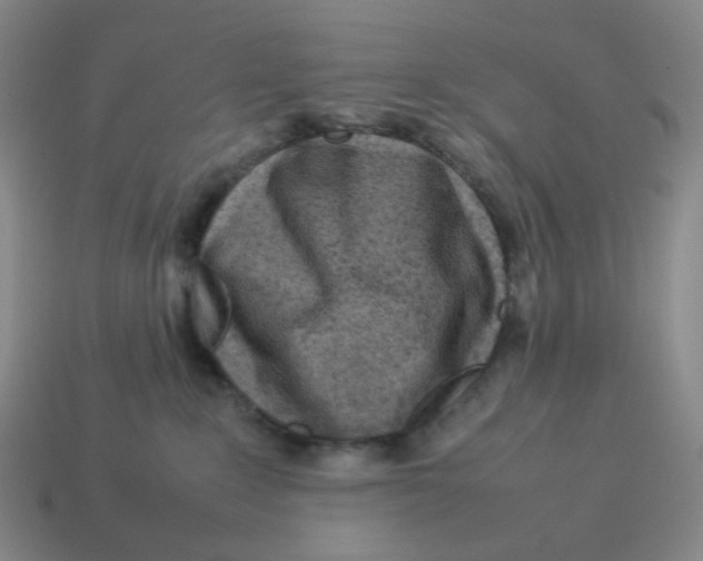 X0000114220235200911061513