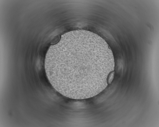 X0000114220236200911061513