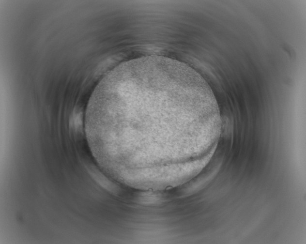 X0000114220238200911061513