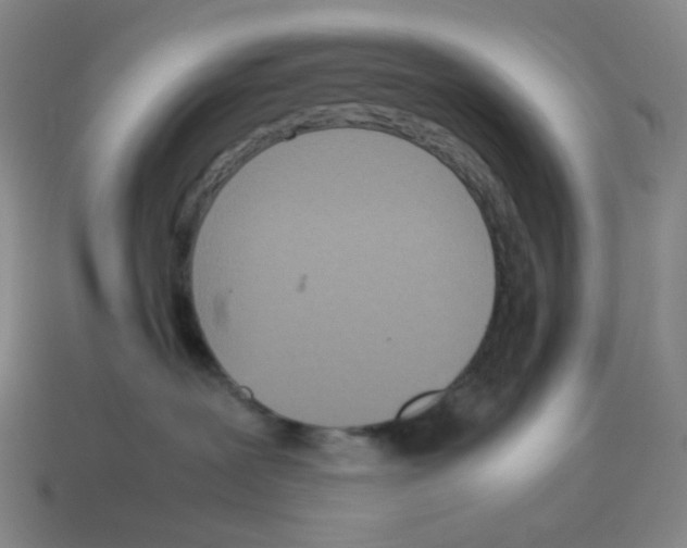 X0000114220239200911061513