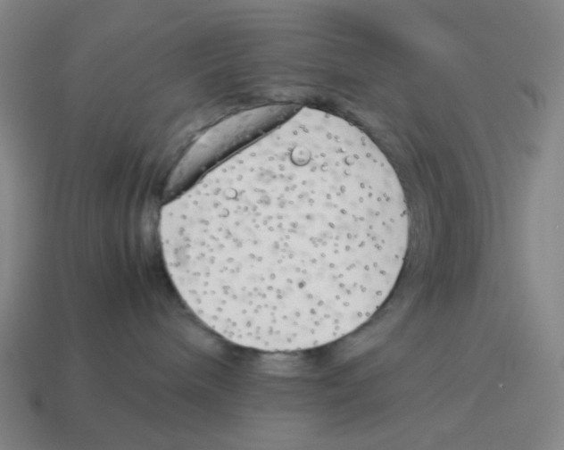 X0000114220240200911061513