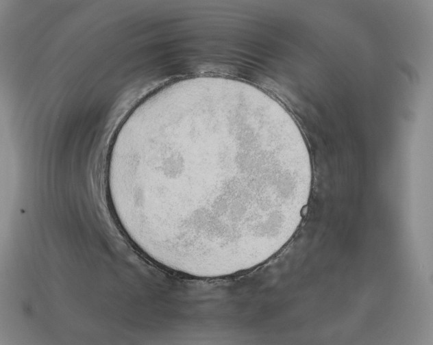 X0000114220241200911061513