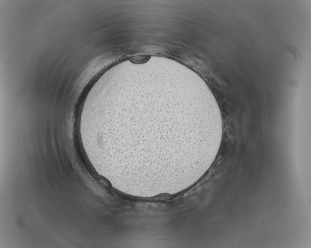 X0000114220242200911061513