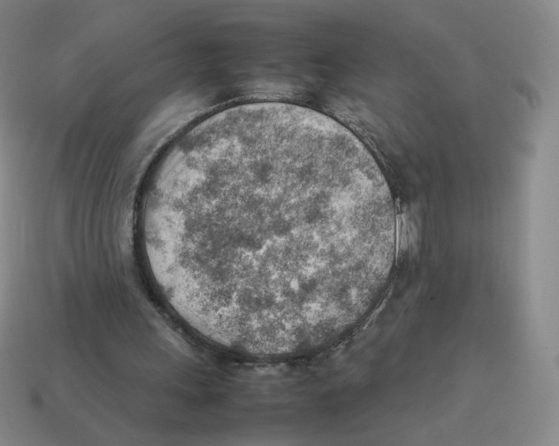 X0000114220243200911061513