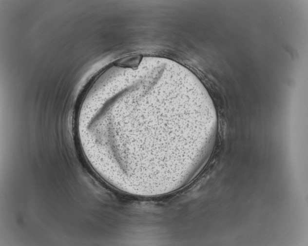 X0000114220244200911061513