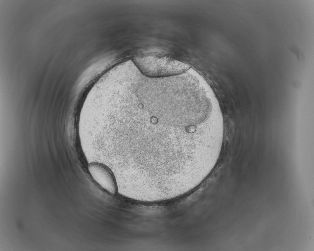 X0000114220245200911061513