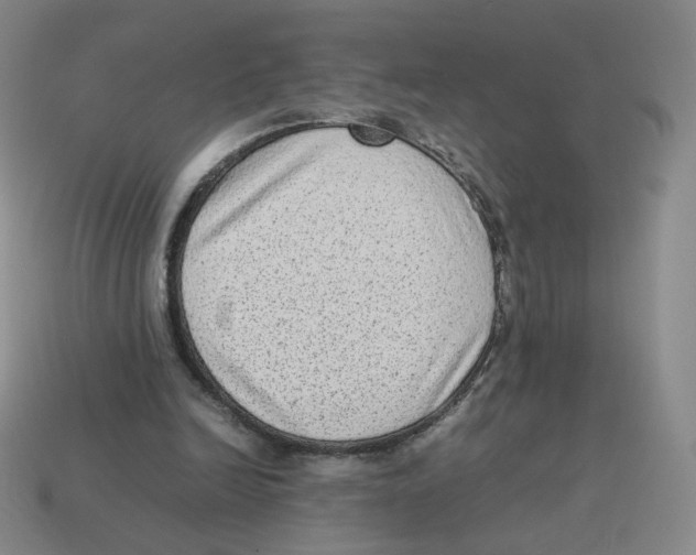 X0000114220246200911061513