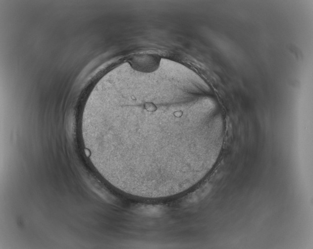 X0000114220247200911061513