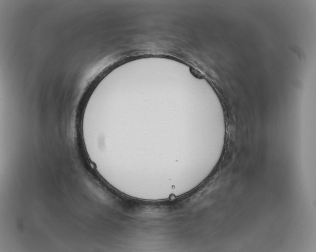 X0000114220248200911061513