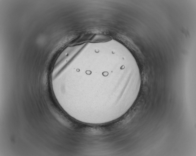 X0000114220250200911061513