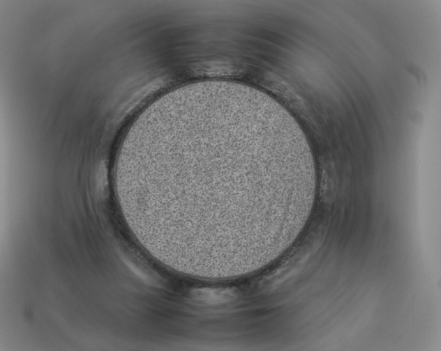 X0000114220251200911061513