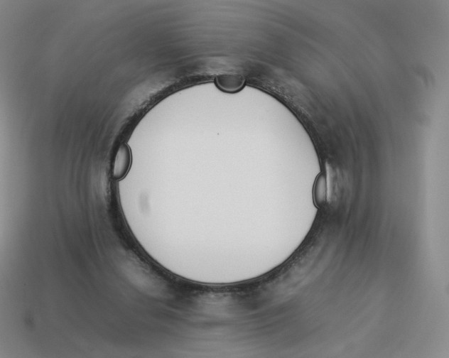 X0000114220252200911061513