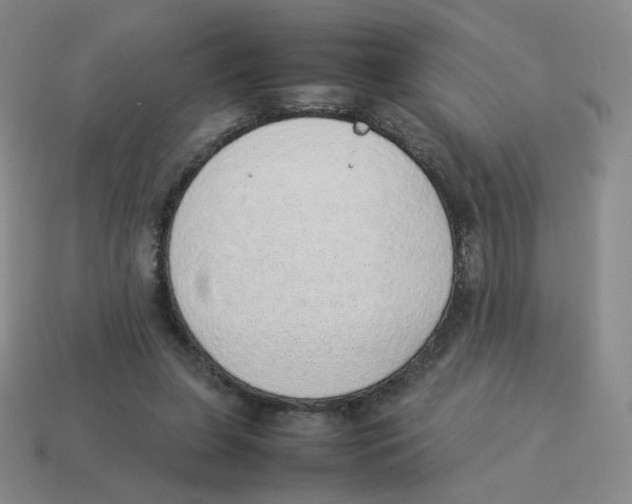 X0000114220255200911061513