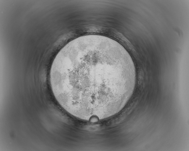 X0000114220257200911061513