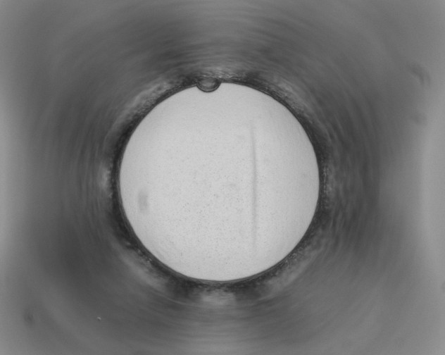 X0000114220258200911061513