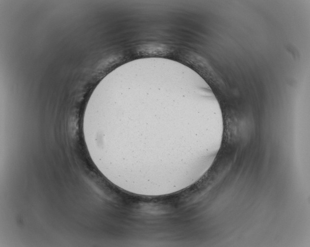 X0000114220259200911061513