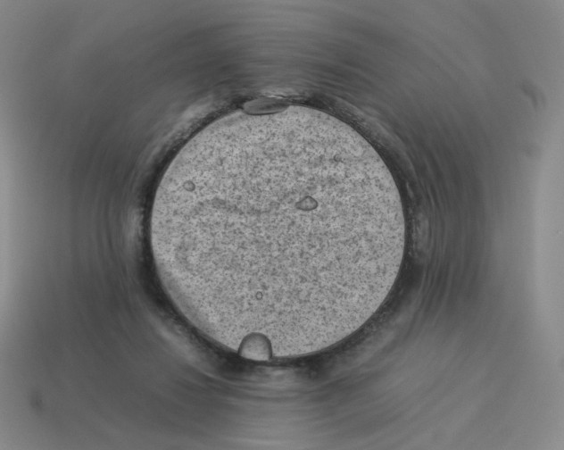 X0000114220260200911061513