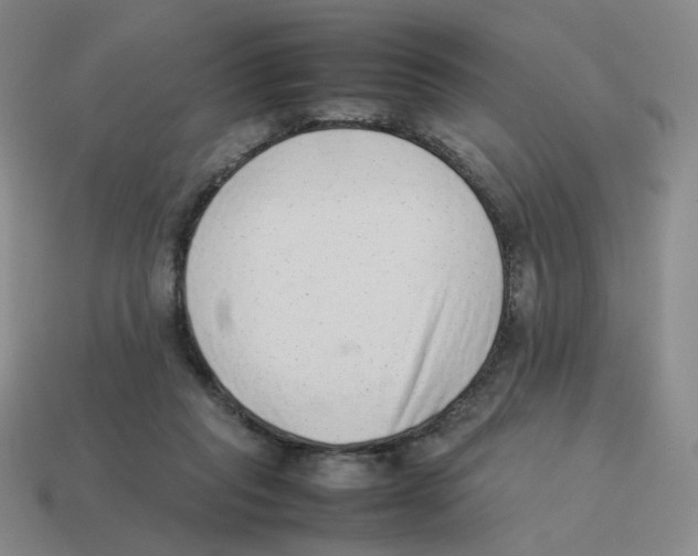 X0000114220261200911061513