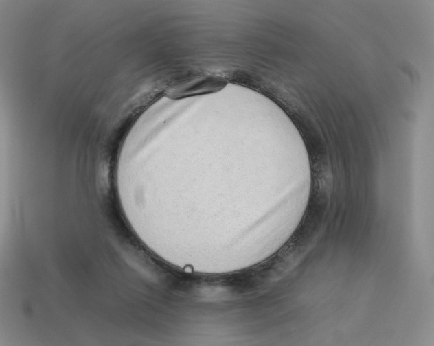 X0000114220262200911061513