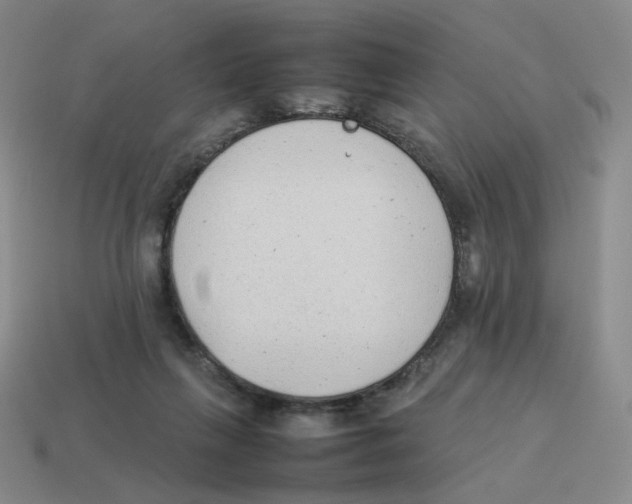 X0000114220263200911061513