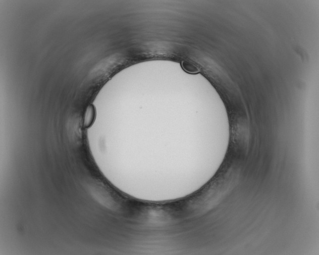 X0000114220264200911061513