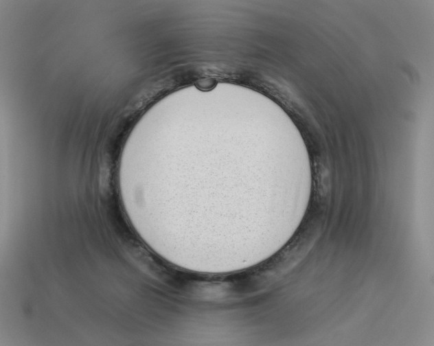 X0000114220266200911061513