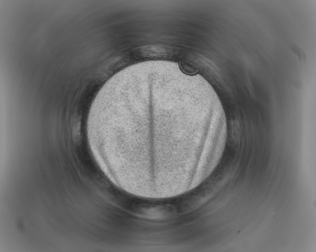 X0000114220267200911061513