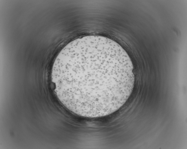 X0000114220268200911061513