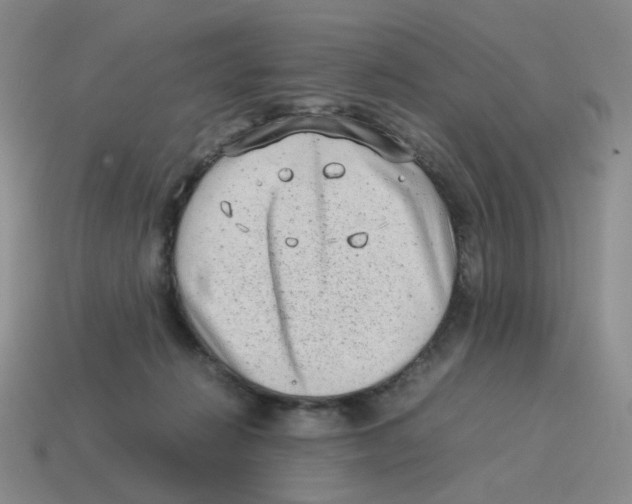 X0000114220270200911061513