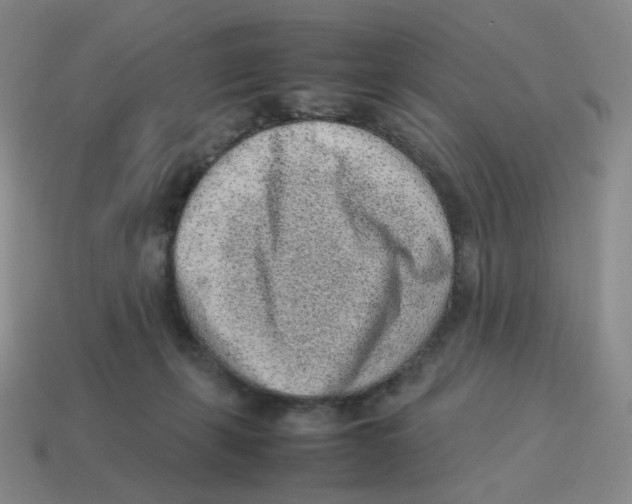 X0000114220271200911061513