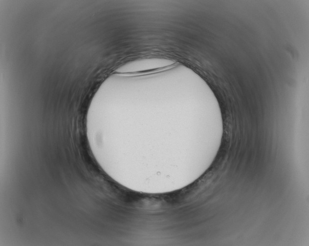 X0000114220272200911061513