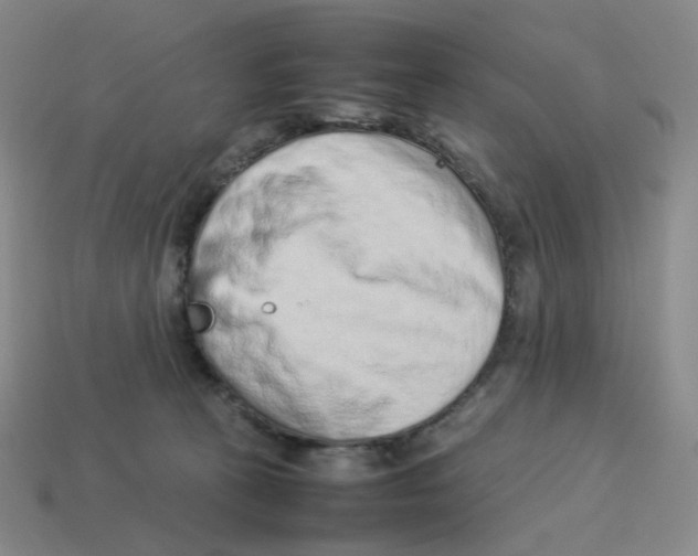 X0000114220273200911061513