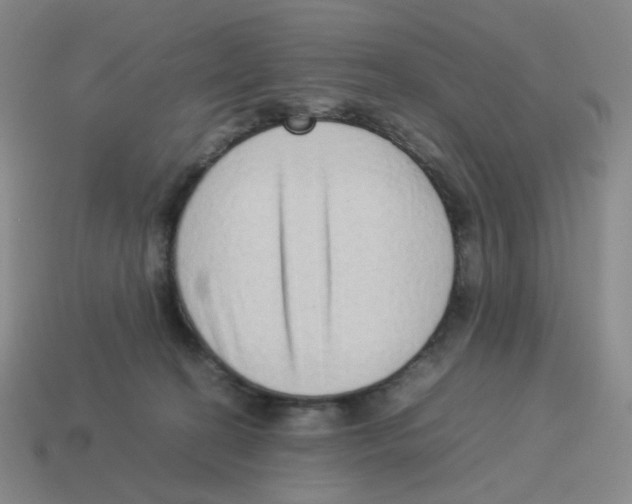 X0000114220274200911061513