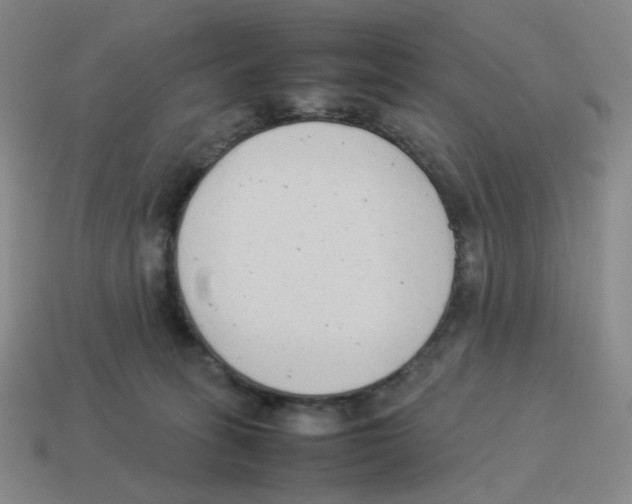 X0000114220275200911061513