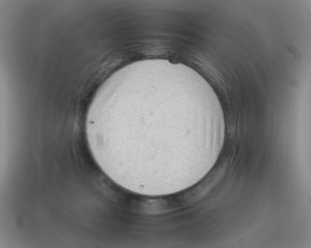 X0000114220277200911061513