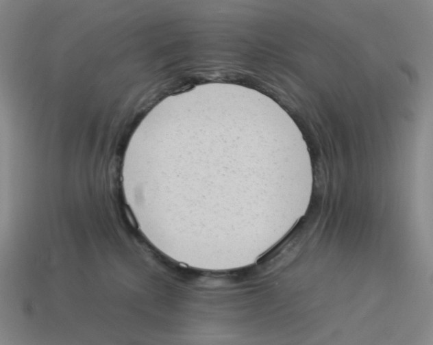 X0000114220280200911061513