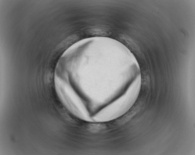 X0000114220281200911061513