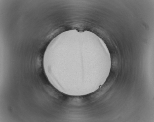 X0000114220282200911061513