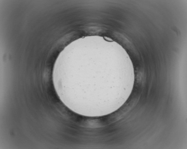 X0000114220283200911061513