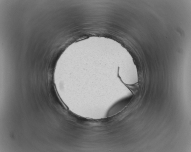 X0000114220284200911061513